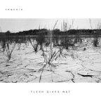 Flesh Gives Way by Sequoia